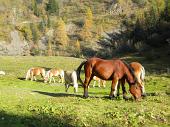 8-relax al lago del Prato